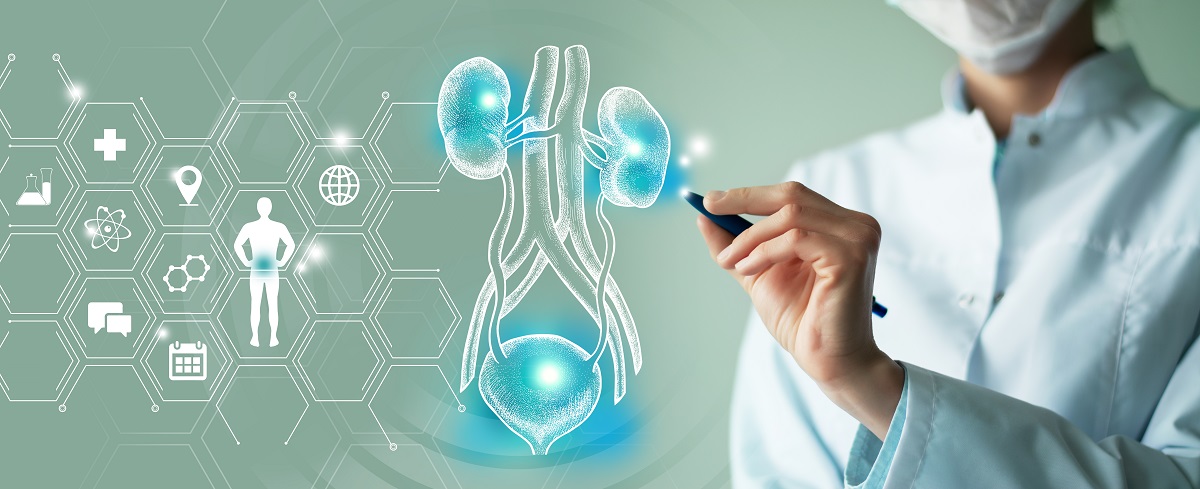Infecții urinare: cauze, simptome, tratament și prevenție